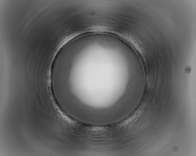 X0000101190839200806271314