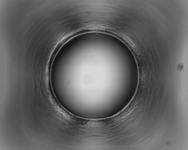 X0000101190840200806271314