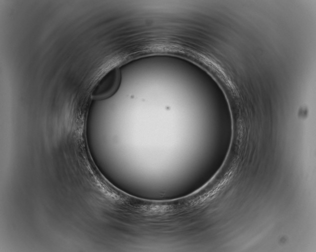 X0000101190841200806271314