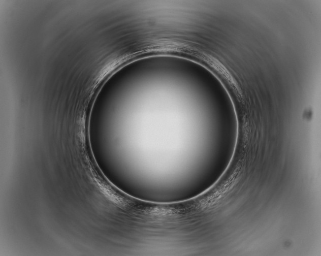 X0000101190842200806271314