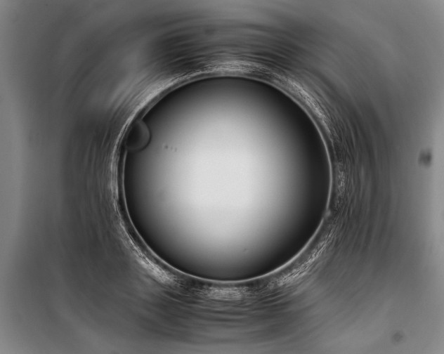 X0000101190843200806271314