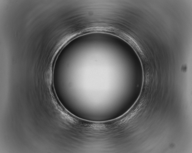 X0000101190844200806271314