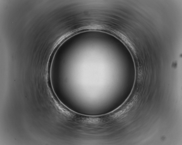 X0000101190845200806271314