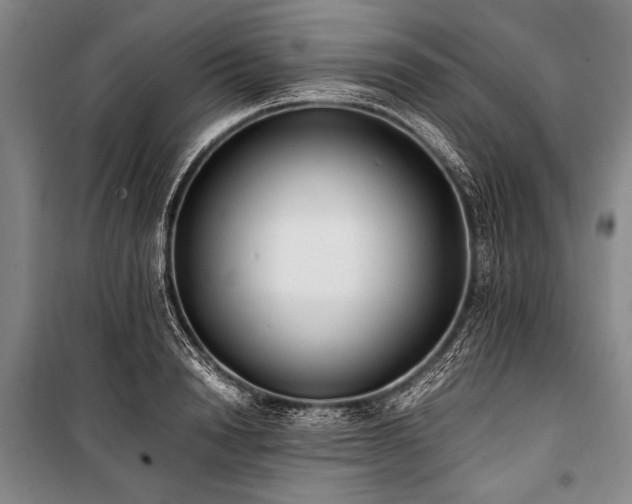 X0000101190846200806271314