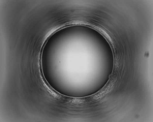 X0000101190847200806271314