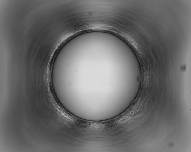 X0000101190848200806271314