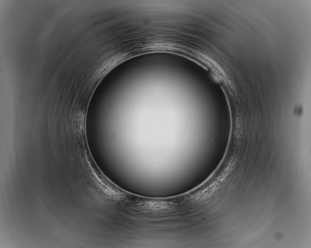 X0000101190849200806271314