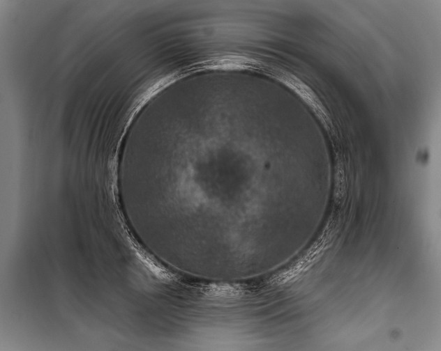 X0000101190850200806271314