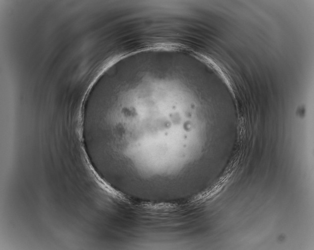 X0000101190851200806271314