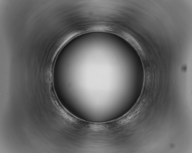 X0000101190852200806271314
