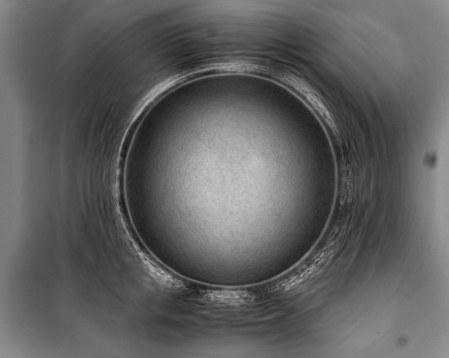 X0000101190853200806271314