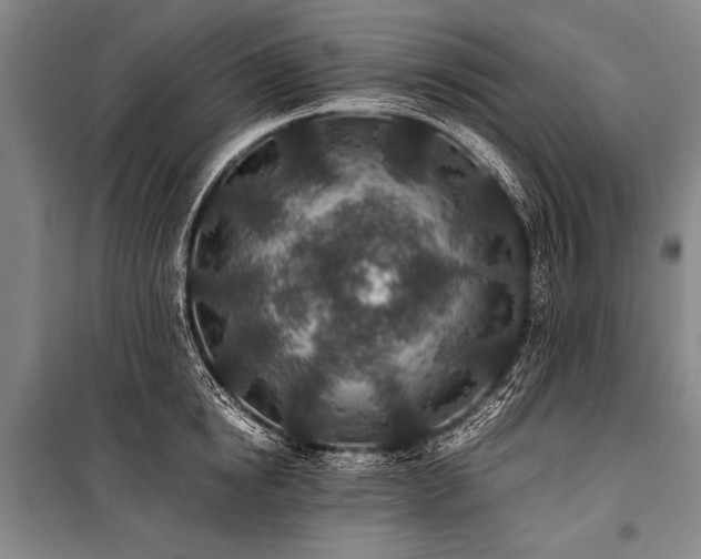 X0000101190854200806271314