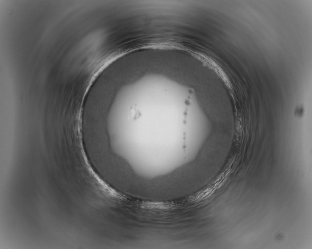 X0000101190855200806271314