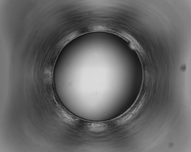 X0000101190857200806271314