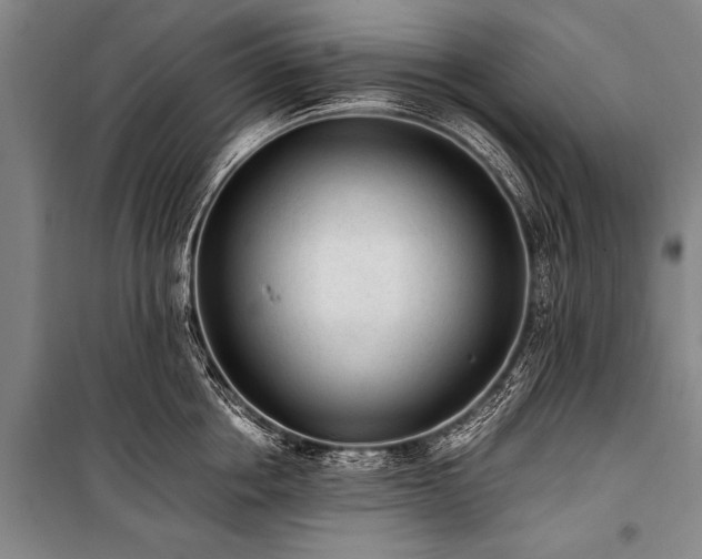 X0000101190858200806271314