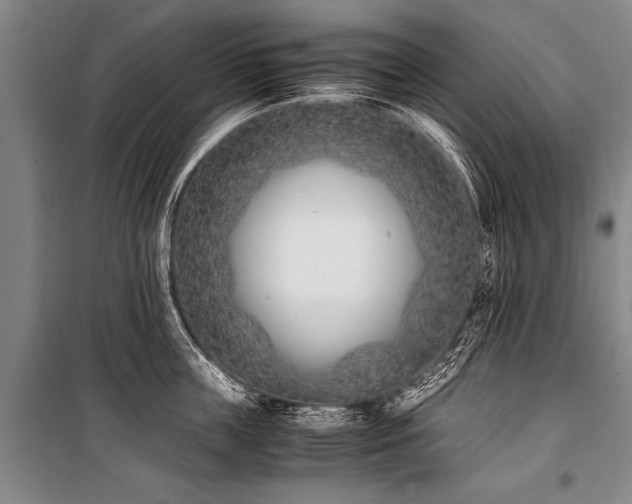 X0000101190859200806271314