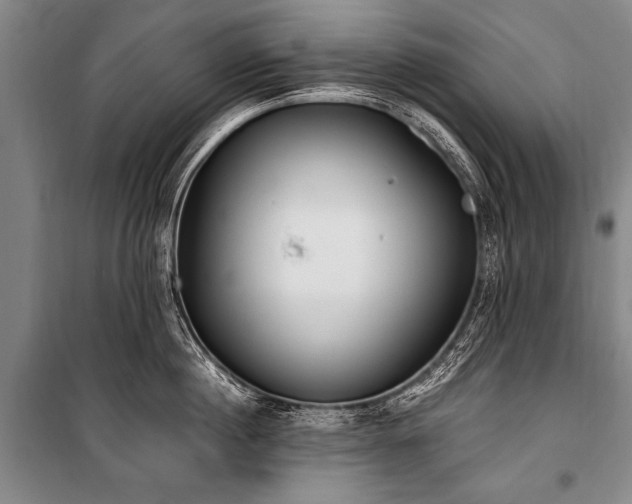 X0000101190860200806271314