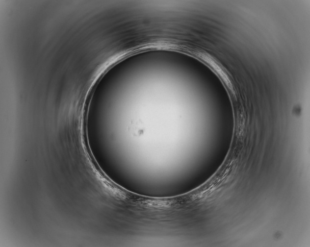 X0000101190861200806271314