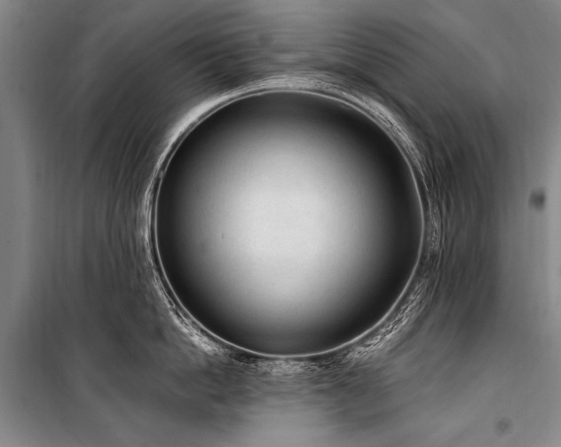 X0000101190862200806271314