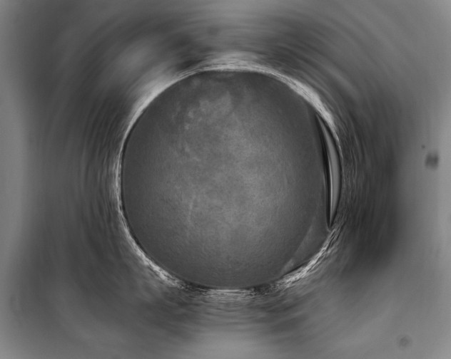 X0000101190863200806271314
