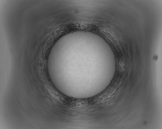 X0000101190865200806271313