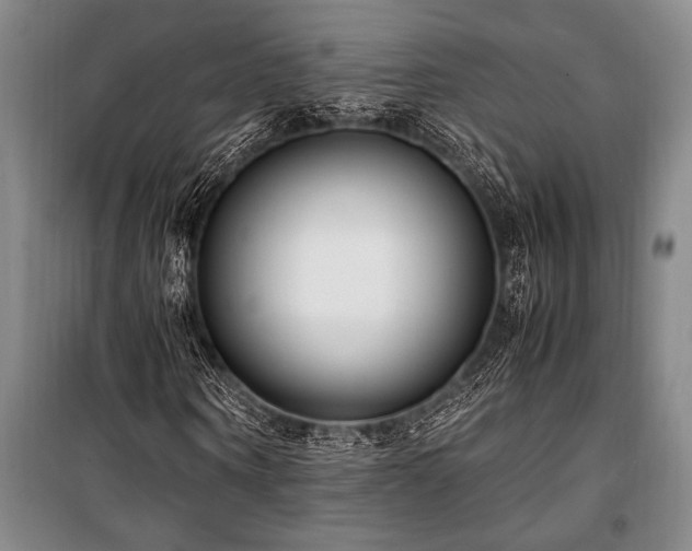 X0000101190866200806271313