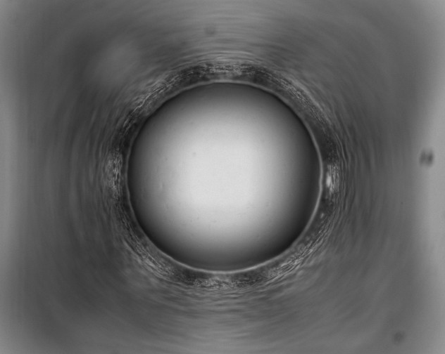 X0000101190867200806271313