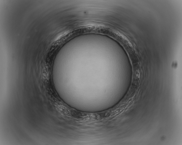 X0000101190869200806271313