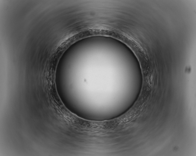 X0000101190870200806271313