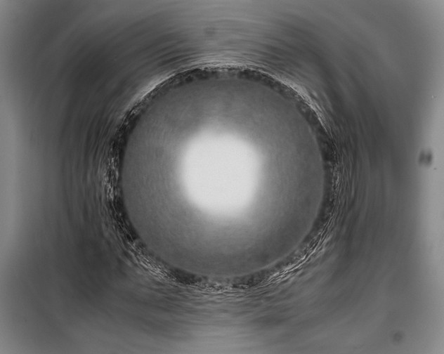 X0000101190871200806271313