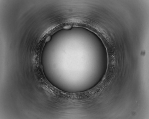 X0000101190872200806271313