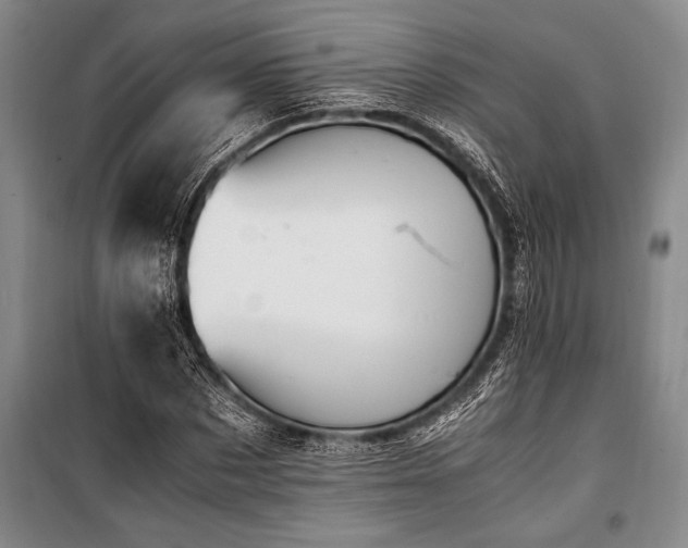 X0000101190873200806271313