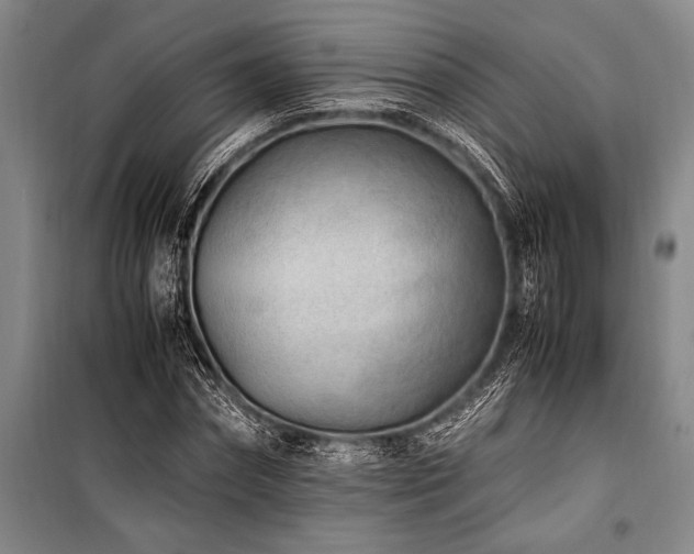 X0000101190874200806271313