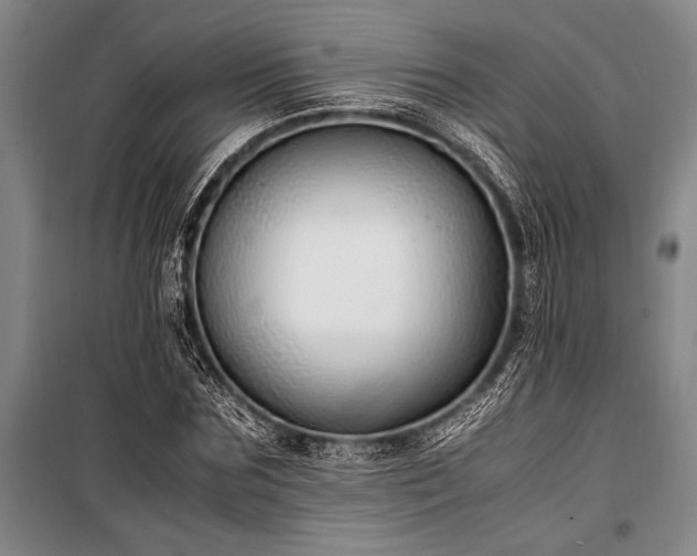 X0000101190875200806271313