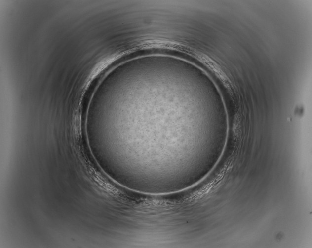 X0000101190877200806271313