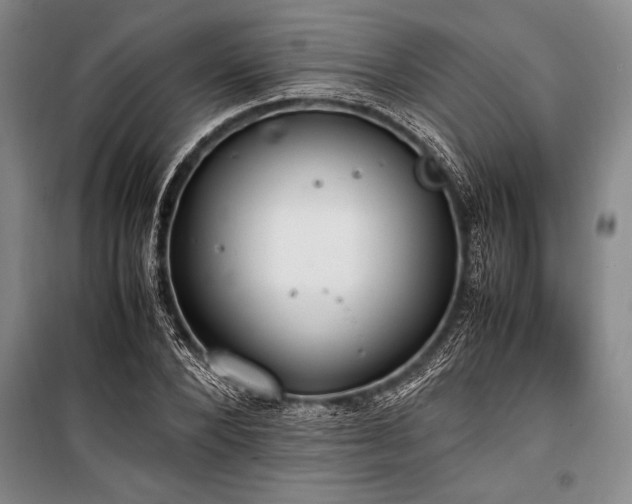 X0000101190880200806271313
