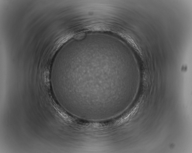 X0000101190881200806271313