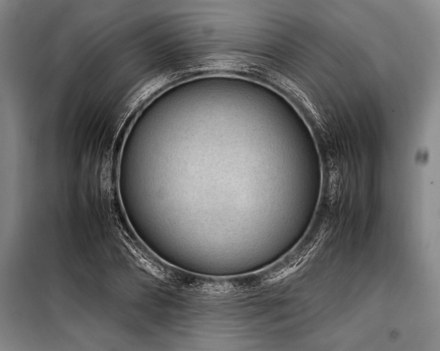 X0000101190882200806271313