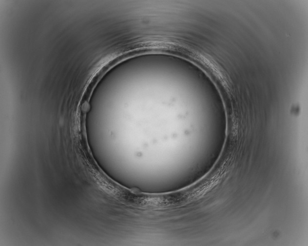X0000101190883200806271313