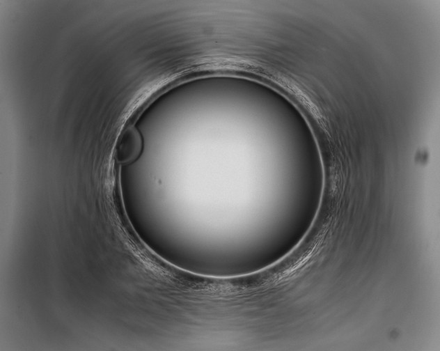 X0000101190885200806271313