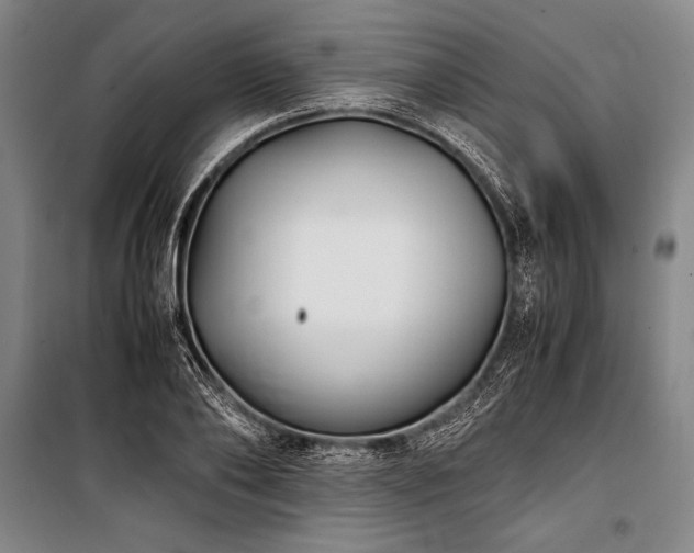 X0000101190886200806271313
