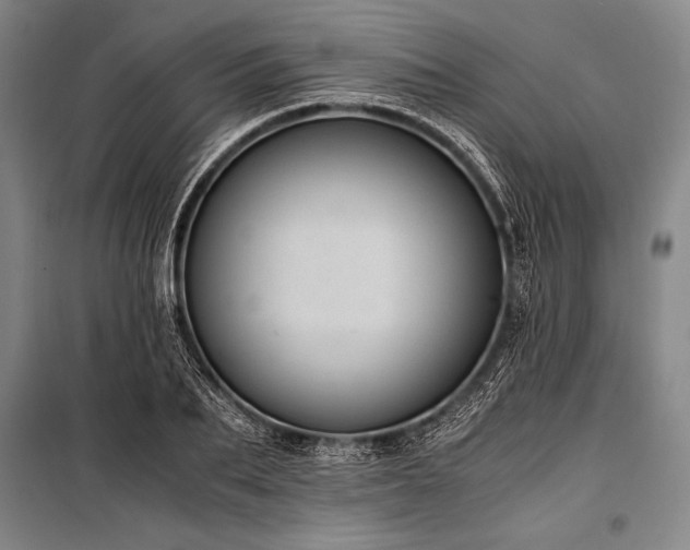 X0000101190887200806271313