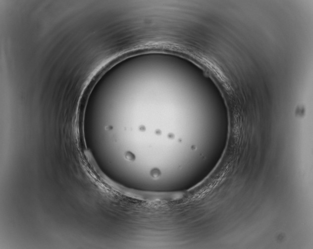X0000101190888200806271313