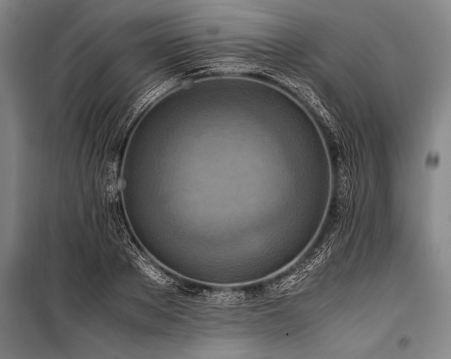 X0000101190889200806271313