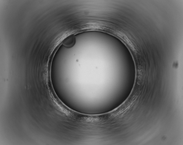 X0000101190890200806271313