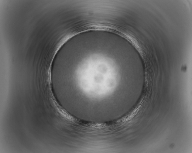 X0000101190891200806271313