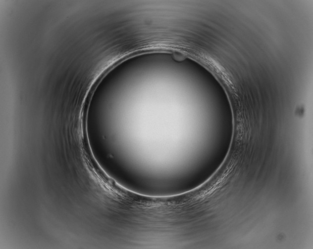 X0000101190892200806271313