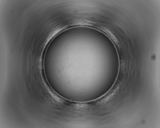 X0000101190893200806271313