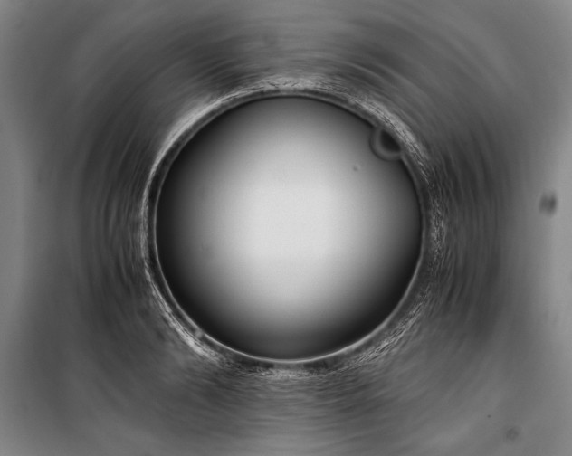 X0000101190894200806271313
