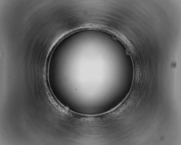 X0000101190896200806271313
